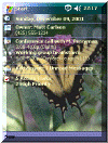 Beautiful Butterfly theme