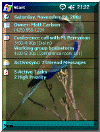 Bird theme
