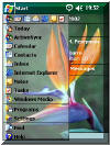 Bird of Paradise theme