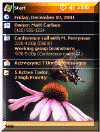 Butterfly & Flower theme
