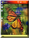 Colorful Monarch theme