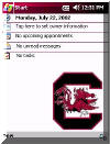 University of South Carolina theme