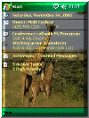 Giraffes theme