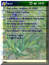 Van Gogh's Iris theme