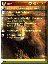 Lion theme