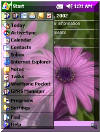 Purple Daisies theme
