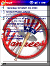 NY Yankees theme